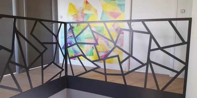 Garde corps en acier, cadre, remplissage en habillage décoratif araignée toute hauteur, ral 9005 FT. 53600 EVRON.